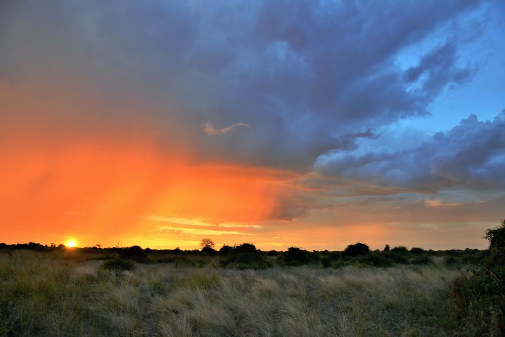 Thebe River Safaris Касане Екстер'єр фото