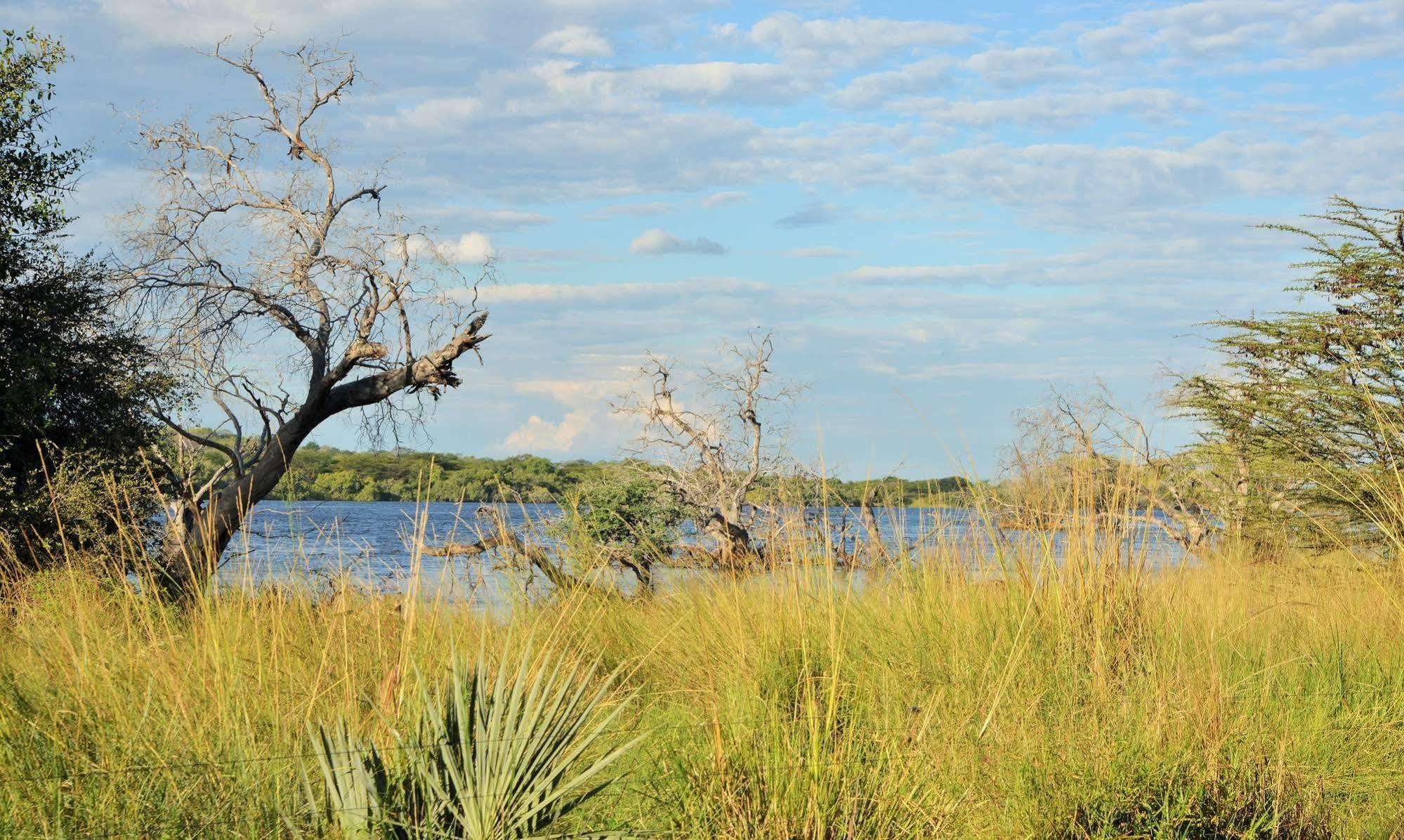 Thebe River Safaris Касане Екстер'єр фото